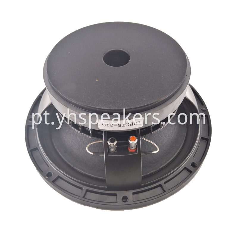 10" speaker woofer unit with 3 inch voice coil